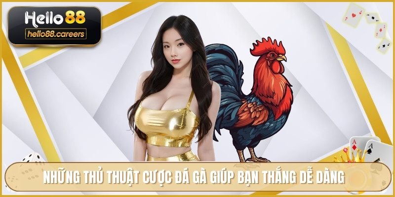 Đá Gà Thomo HELLO88 - Thông Tin Chi Tiết Luật Chơi Cược 4 Những thủ thuật cược đá gà giúp bạn thắng dễ dàng