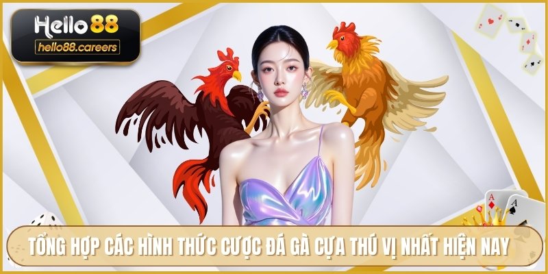 Đá Gà Cựa Dao HELLO88 - Phân Tích Kỹ Thuật Cược Hiệu Quả 3 Tổng hợp các hình thức cược đá gà cựa thú vị nhất hiện nay