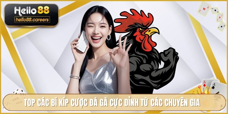 Đá Gà Campuchia HELLO88 - Cập Nhật Lịch Thi Đấu Tham Gia 4 TOP các bí kíp cược đá gà cực đỉnh từ các chuyên gia